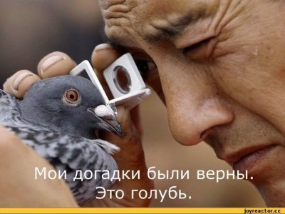 Иллюстрация к комментарию