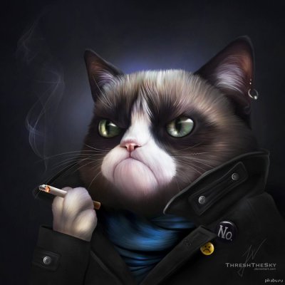 Иллюстрация к комментарию