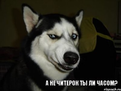 Потому что по жизни я победитель по жизни. Смотреть фото Потому что по жизни я победитель по жизни. Смотреть картинку Потому что по жизни я победитель по жизни. Картинка про Потому что по жизни я победитель по жизни. Фото Потому что по жизни я победитель по жизни