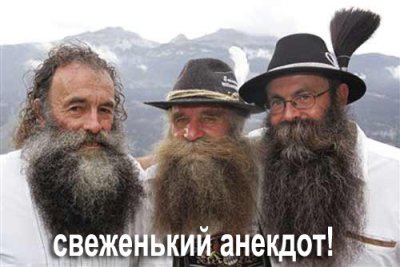 Анекдот про кабана в шлеме на мотоцикле