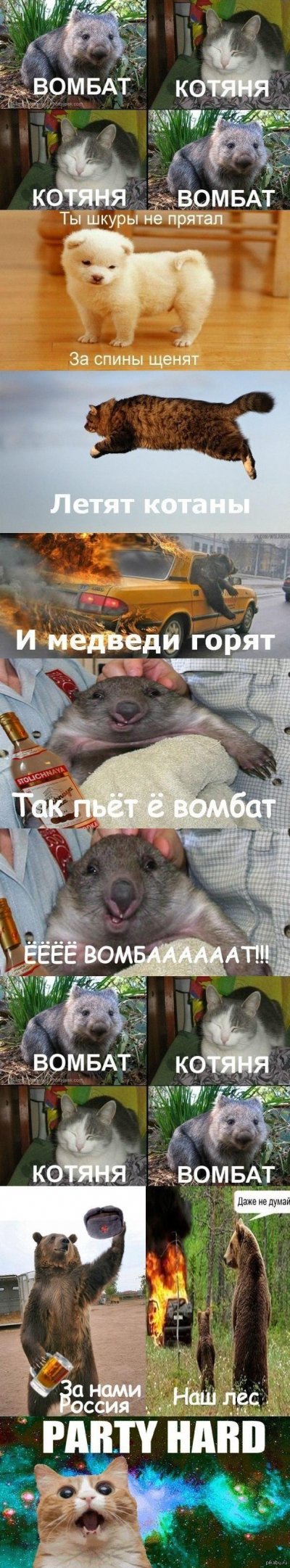����������� � �����������