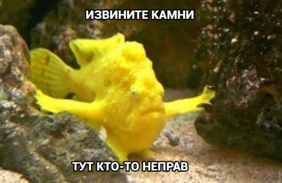 чем питается рыба лягушка. Смотреть фото чем питается рыба лягушка. Смотреть картинку чем питается рыба лягушка. Картинка про чем питается рыба лягушка. Фото чем питается рыба лягушка
