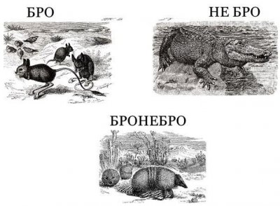 покебол в реальной жизни. Смотреть фото покебол в реальной жизни. Смотреть картинку покебол в реальной жизни. Картинка про покебол в реальной жизни. Фото покебол в реальной жизни