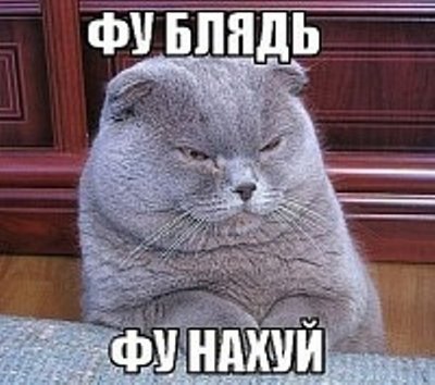 аня дабл бабл кто такая. Смотреть фото аня дабл бабл кто такая. Смотреть картинку аня дабл бабл кто такая. Картинка про аня дабл бабл кто такая. Фото аня дабл бабл кто такая аня дабл бабл кто такая. Смотреть фото аня дабл бабл кто такая. Смотреть картинку аня дабл бабл кто такая. Картинка про аня дабл бабл кто такая. Фото аня дабл бабл кто такая