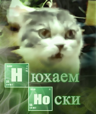 Парни нюхает носки вк, оптовая торговля моторными маслами и вельзумер карликовый порода кур Парни нюхает носки вк