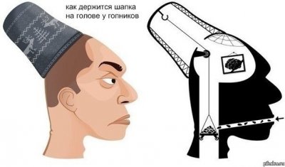 Èëëþñòðàöèÿ ê êîììåíòàðèþ