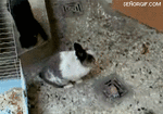 Предпросмотр
