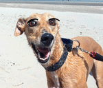 Предпросмотр