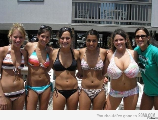 (.)(.) (.)(.) (.)(.) (.)(.) ( o )( o ) |. .|