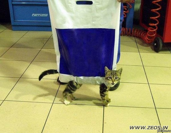 �������� �����?!