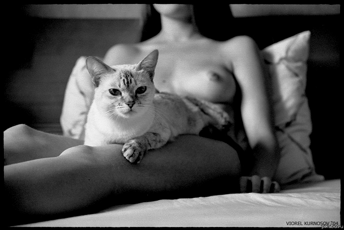 Голая девка с котиком Голая девка с котиком