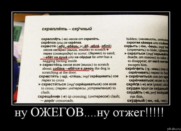 Из словаря Ожегова