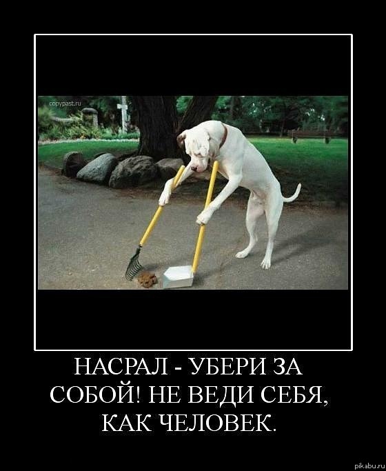 ����� �� �����