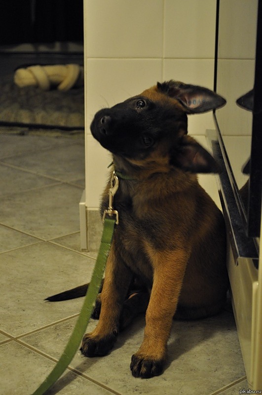 Устал я... Пойду спать!