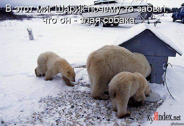 � ���� ���...