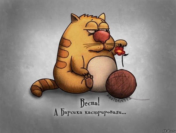 ������, ����� �����)))