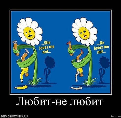 ����� - �� �����