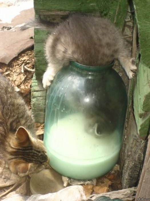 Ну мне-то оставь! Не жадничай! )))