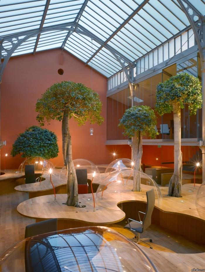 Я бы работал в таком офисе