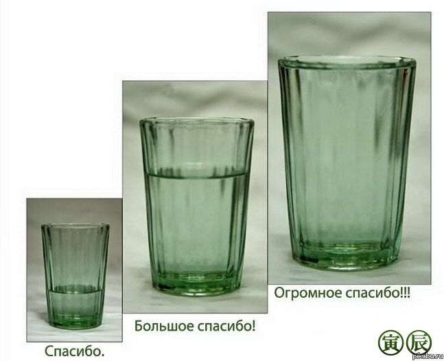 Цветы и конфеты не пью