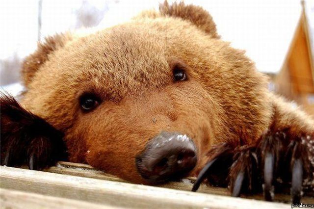 возьми меня с собой