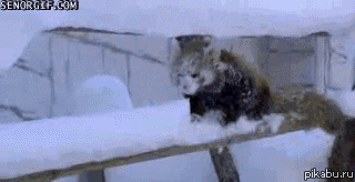 Да оно упоротое в хлам!