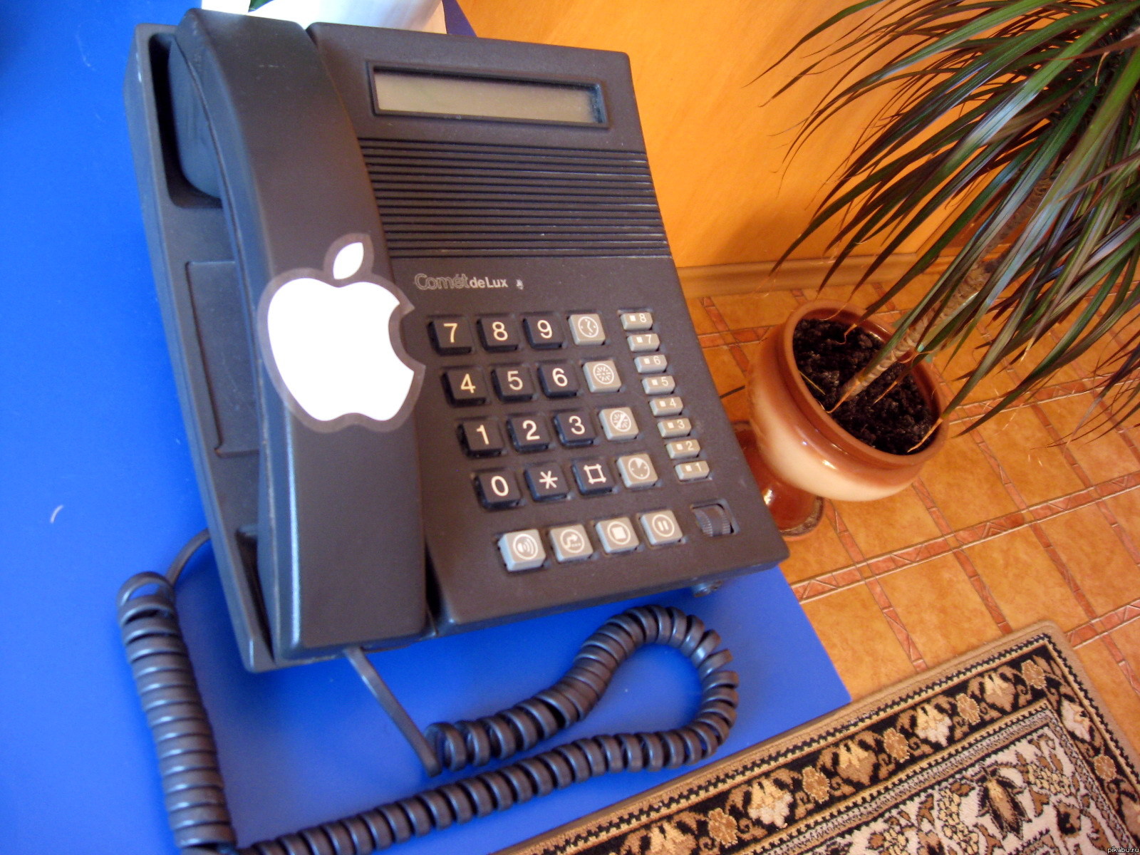iPhone 5   