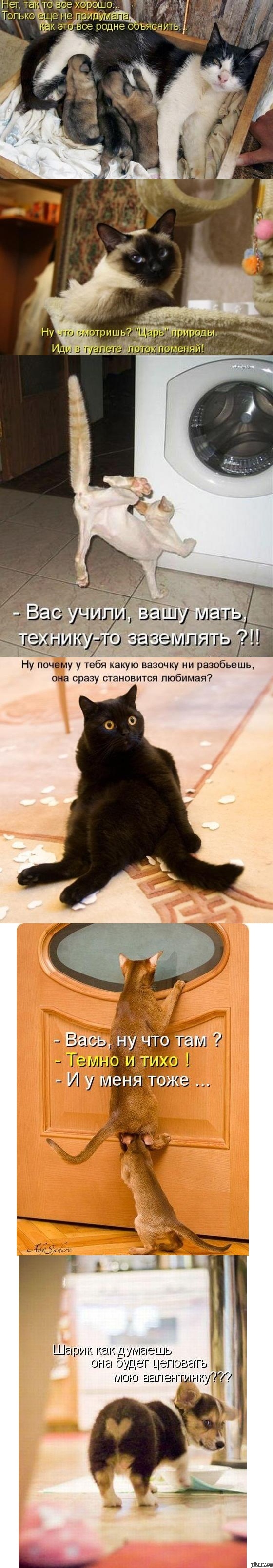 Весёлого настроения на понедельник