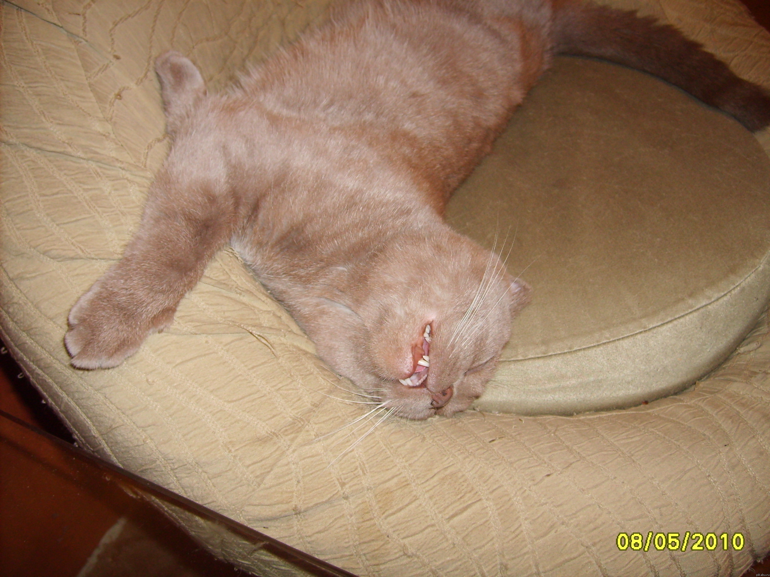 ��� �� ����. �� ��� ����