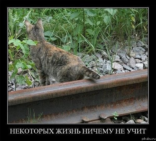 ��������� ����� ������ �� ����