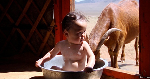 Куда лезешь, козел? Я же моюсь!