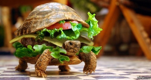 Ходячий Гамбургер