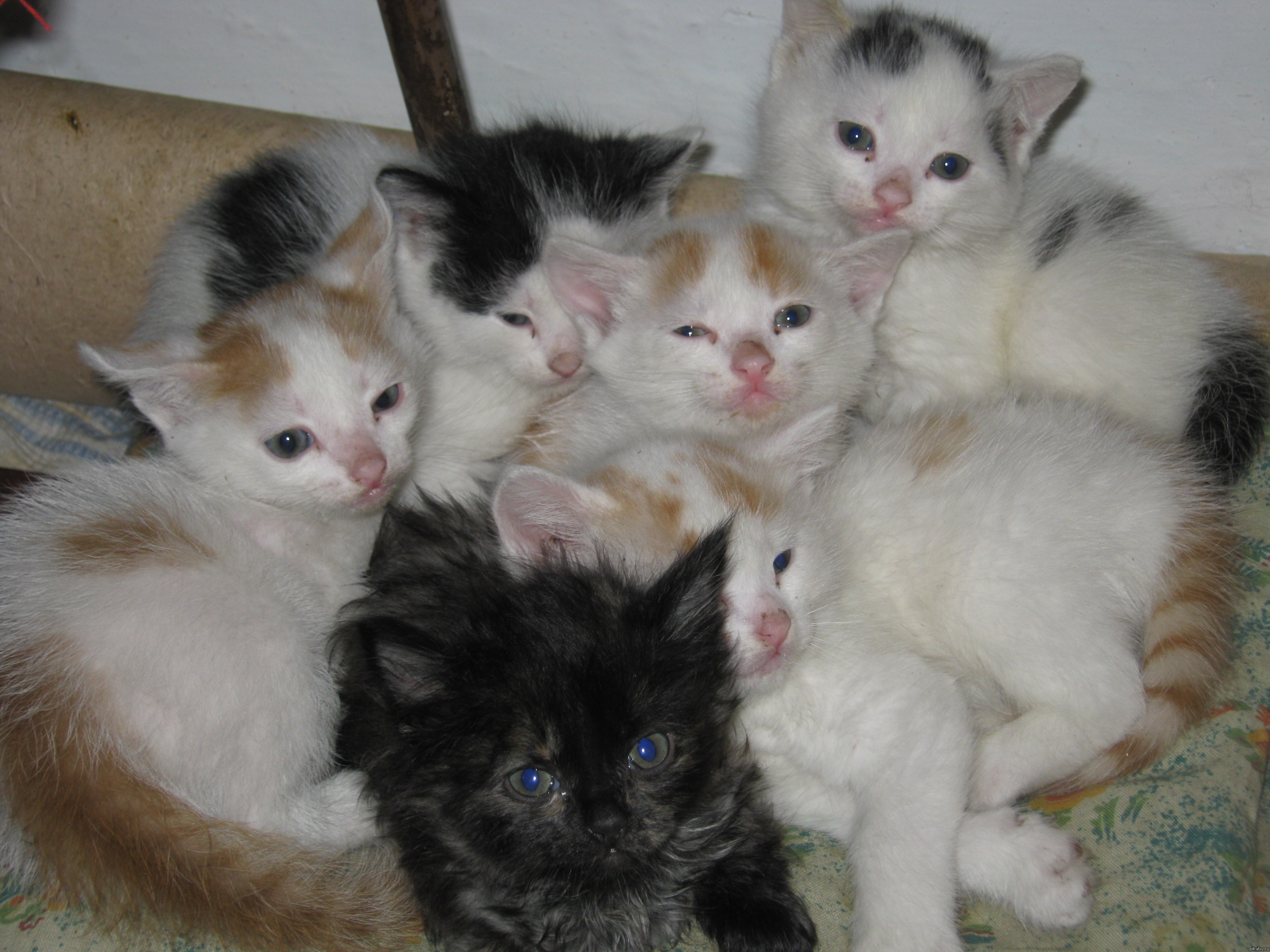 � � ��� ����������� � ���������! =)