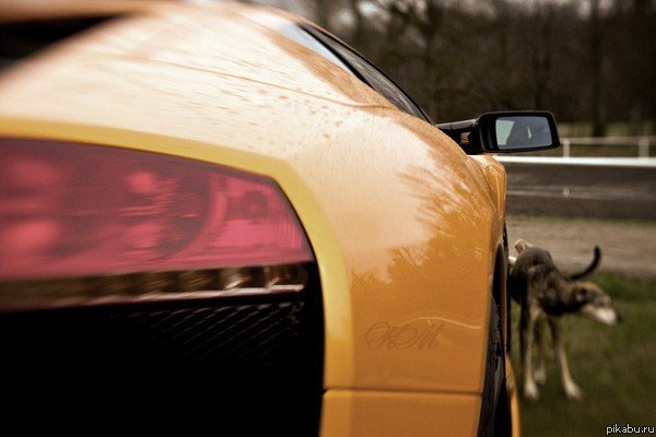 Хорошая машинка, но территория-то наша...