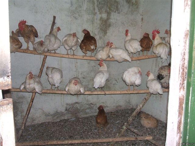 ����� ������� ��� � ����� �� ����� � ������������...