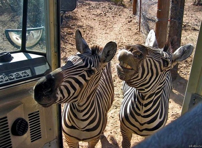 ����������, ��� ������