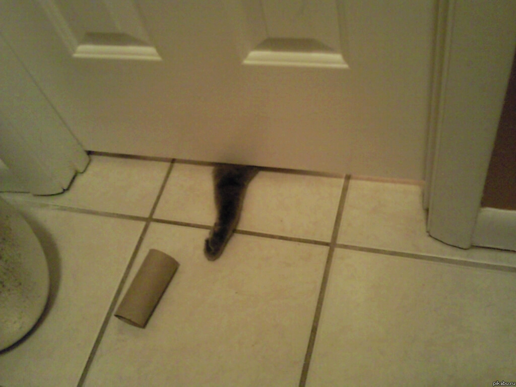 ������ ����������� � �������))