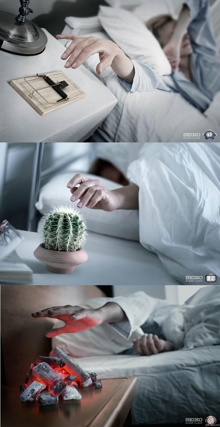 ������ �������� - ��������� ��������� � ������� ���������?