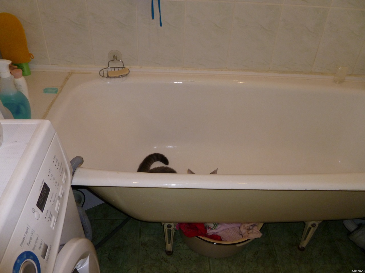 ����������