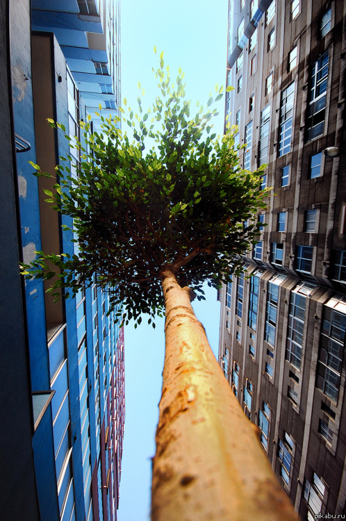 Борьба за выживание