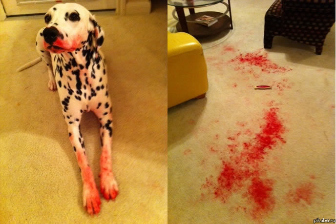 ��� ����? � ���� ����!