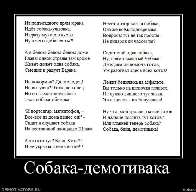Собака-демотивака