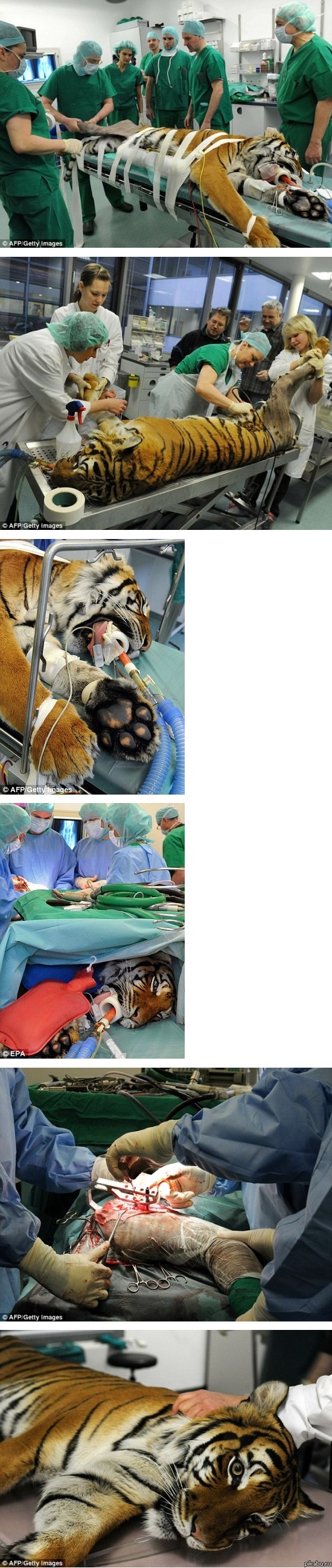 �������� ��������