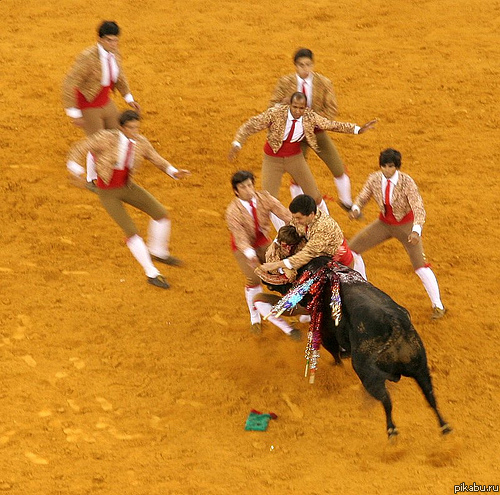 Никогда не нравилось это развлечение