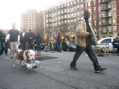 �� ��������� !
