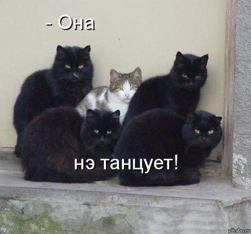 ��� �� �������!