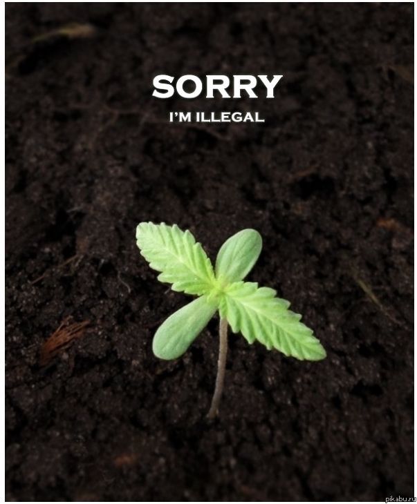  Sorry.  .