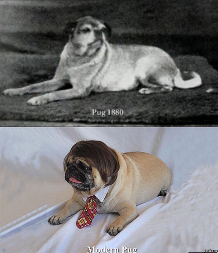 ���� 19-�� ���� ������ ������������