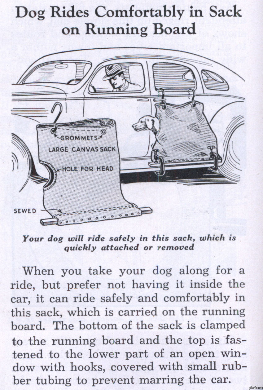 ��-�����, ��� ������ ����...