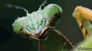 ��������!